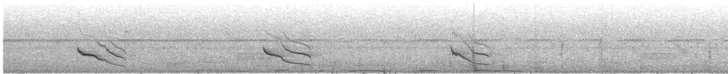 Long-tailed Cinclodes (Cipo) - ML634798232