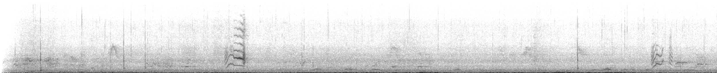 Austral Parakeet - ML634798608