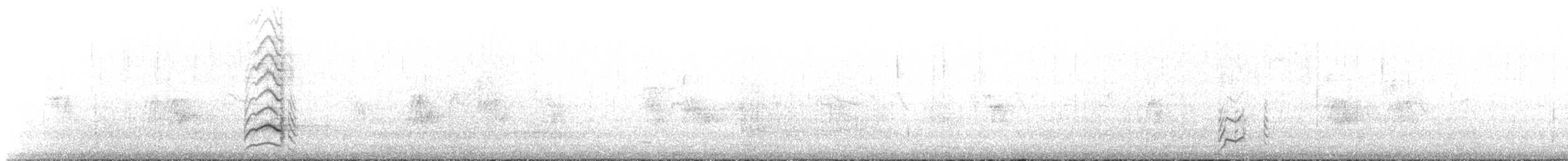 Austral Parakeet - ML634798610