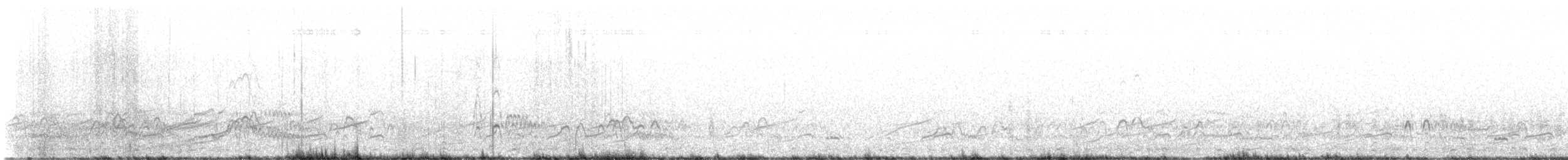 Chiloe Wigeon - ML634799299