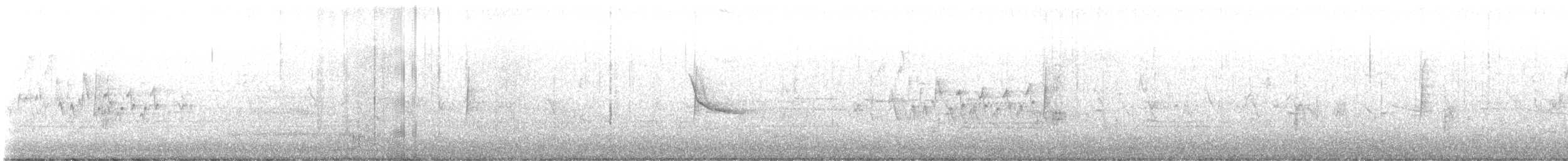 Gray Flycatcher - ML634807430