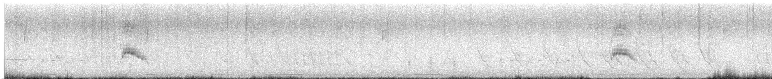 Couch's Kingbird - ML634809094