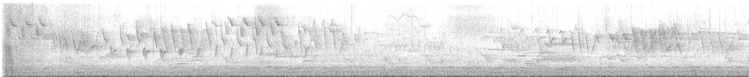 マミジロアメリカムシクイ - ML634810279