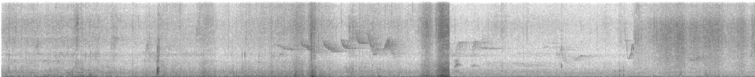 Swainson's Warbler - ML634810477