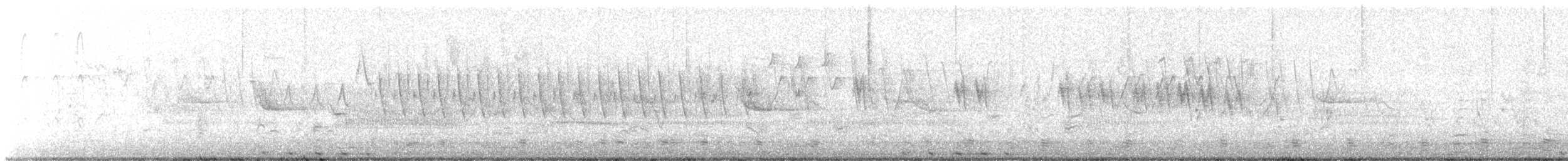 コヨシゴイ - ML634811355