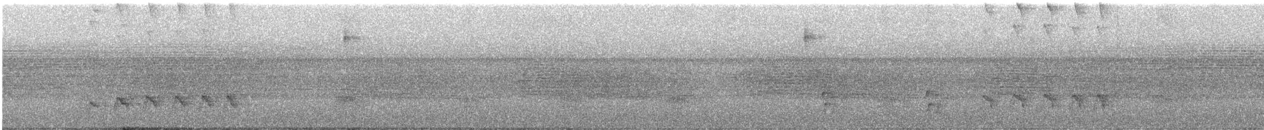 Hormiguero Tirano - ML634815504