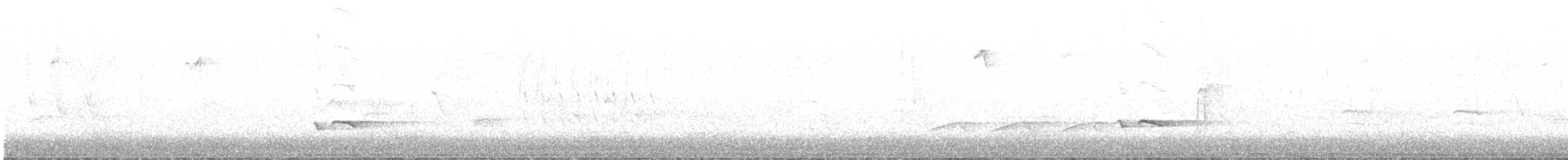 Baltimore Oriole - ML634815995