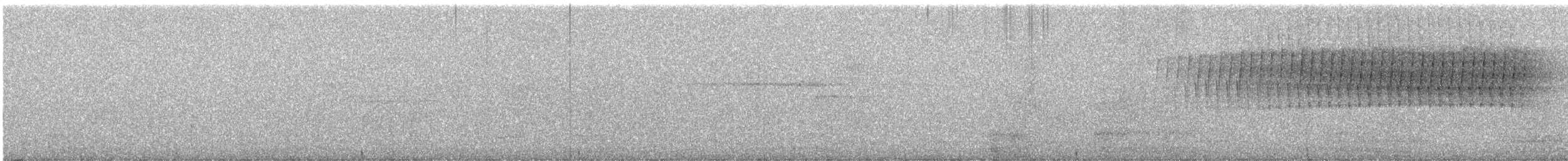 Worm-eating Warbler - ML634817407