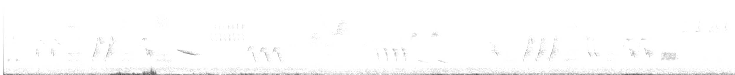 Chingolo Arlequín - ML634825207