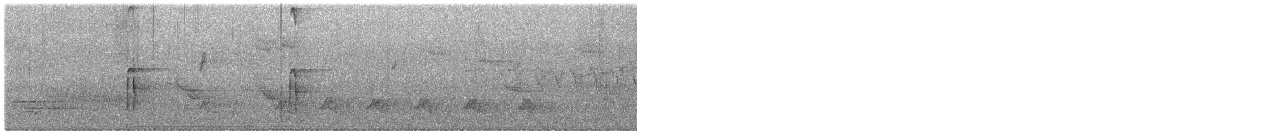 strakapoud americký - ML634828459
