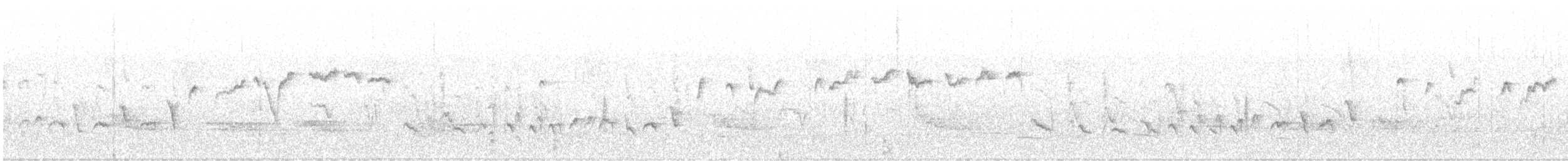 králíček americký - ML634828543