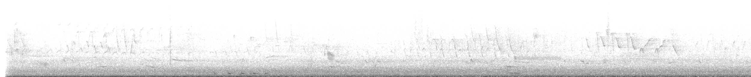 コヨシゴイ - ML634829666