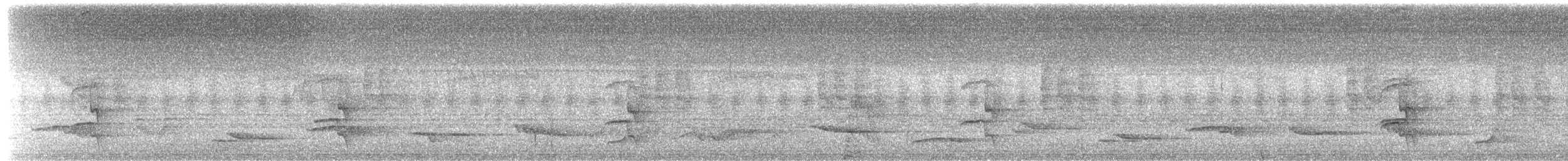 Tropical Royal Flycatcher - ML634837091