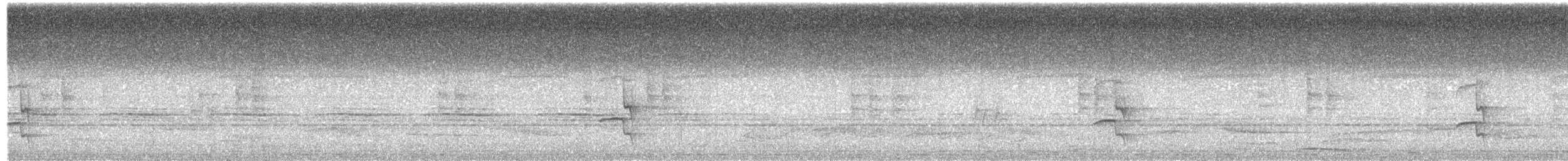 Tropical Royal Flycatcher - ML634837092