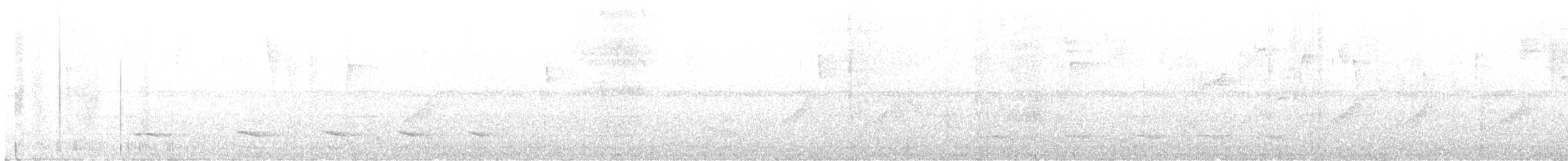 Uniform Antshrike - ML634839898