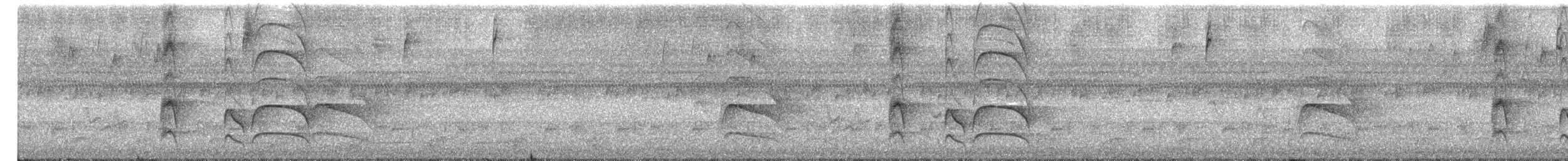 Tyran licteur - ML634840855