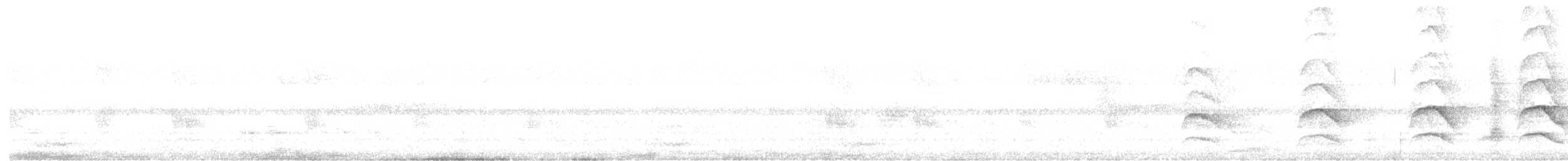 Shikra - ML634842519