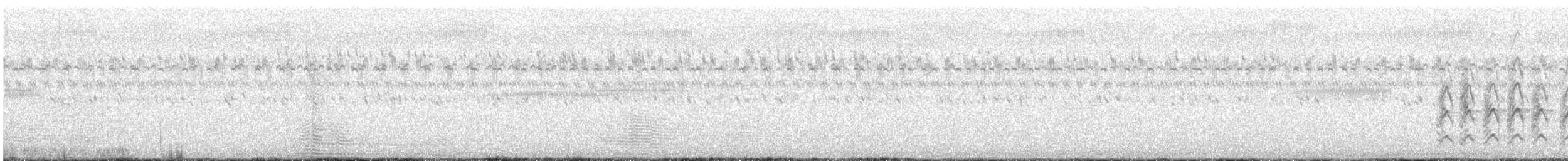 Crécerelle d'Australie - ML634842902