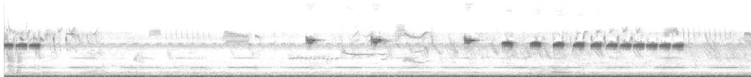 Highland Rush Warbler - ML634847170