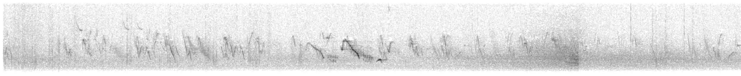 White-crowned Wheatear - ML634849359