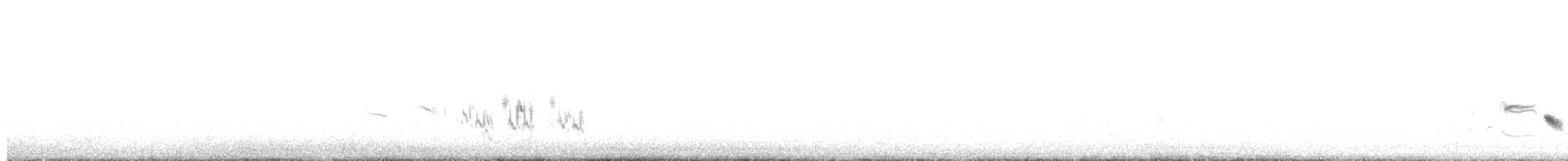 White-crowned Wheatear - ML634850293