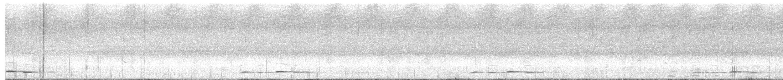 セグロカッコウ - ML634853237