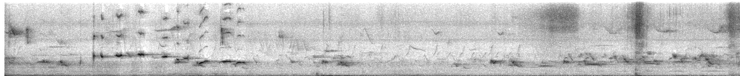 Spot-breasted Fantail - ML634853511