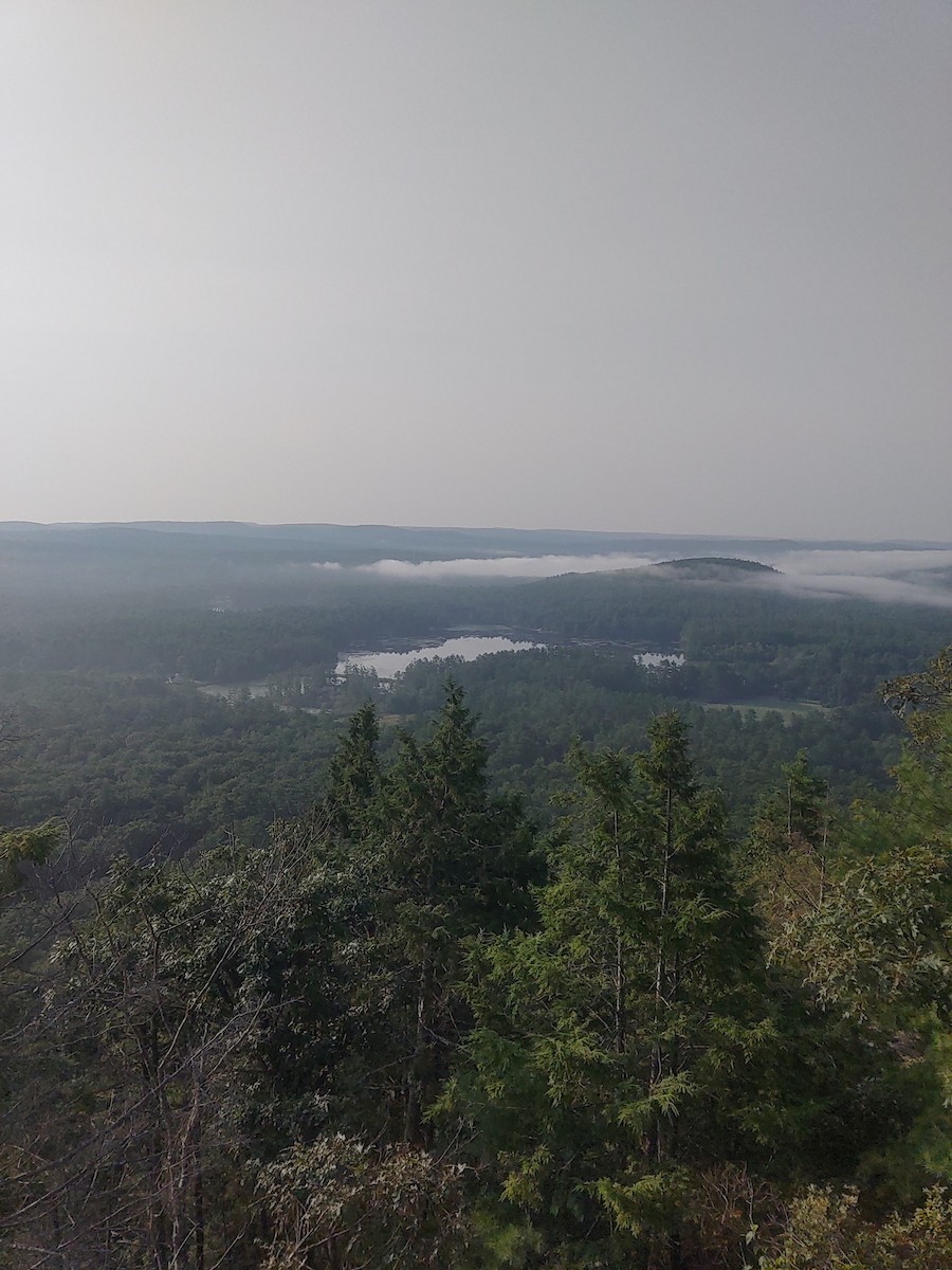 Not specified - James Teitgen