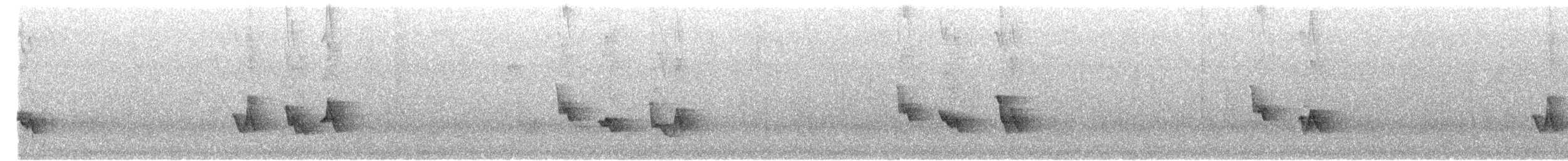 Black-whiskered Vireo - ML634866117