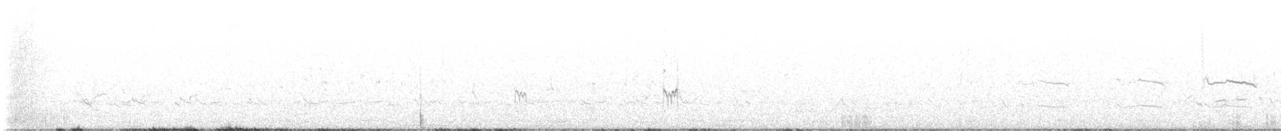 Smergo minore - ML634873940