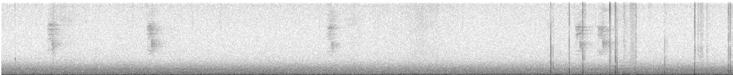 Magnolia Warbler - ML634875915