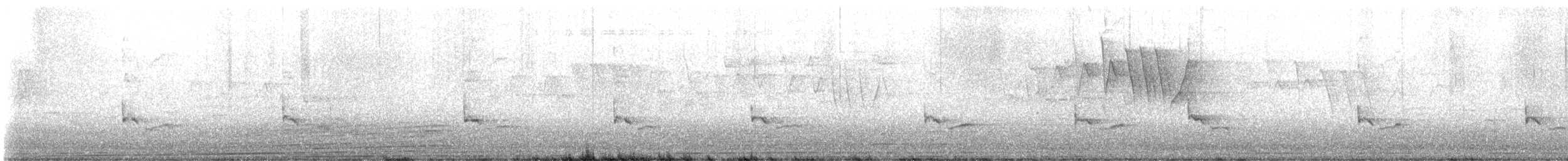 ネコマネドリ - ML634882388