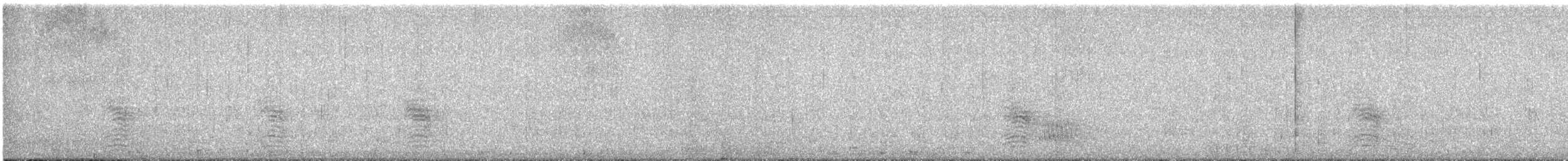 Black-vented Oriole - ML634890893