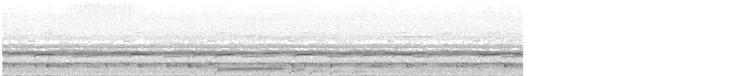 potu středoamerický (ssp. jamaicensis/abbotti) - ML634893697