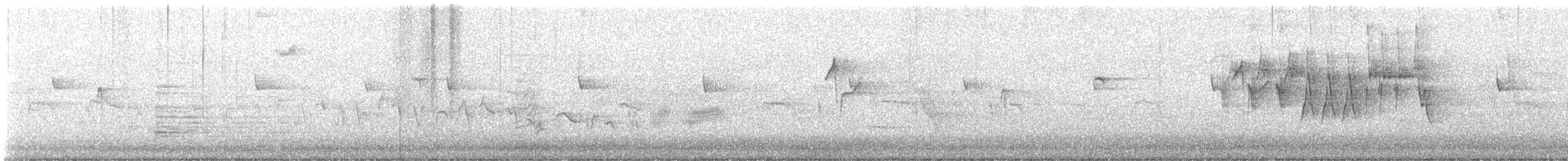 vestempid (difficilis gr.) - ML634895189
