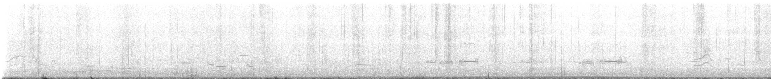 Western Grebe - ML634896861