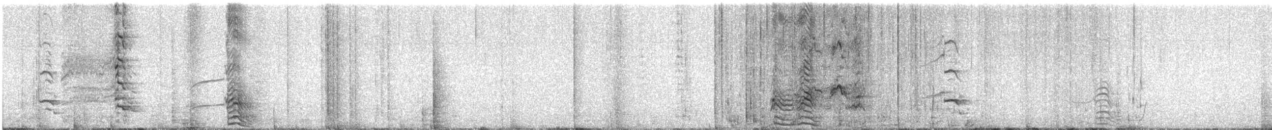 Labbe pomarin - ML634896915