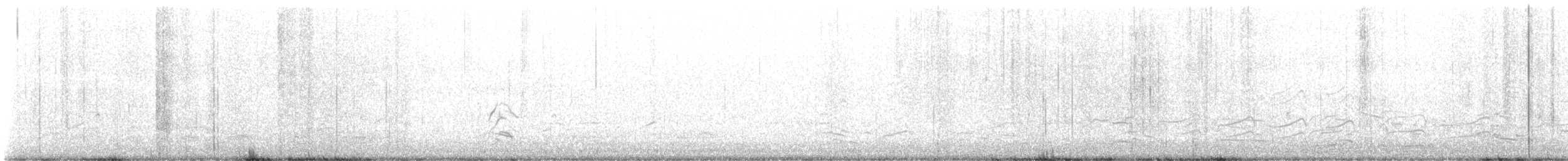 Franklin's Gull - ML634896920