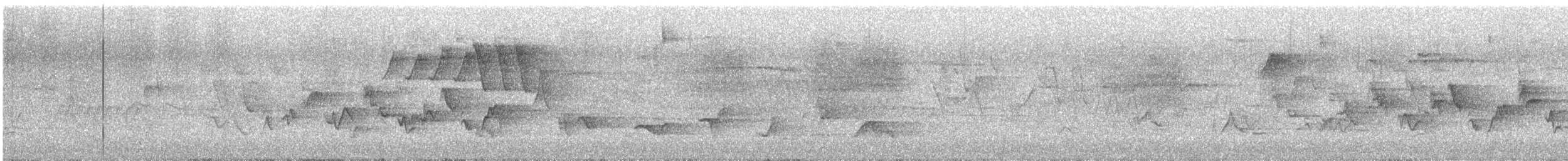 Western Warbling Vireo - ML634898774