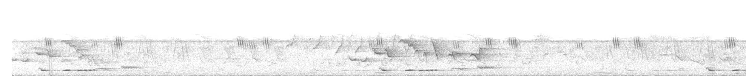 Indian Scimitar-Babbler - ML634902906