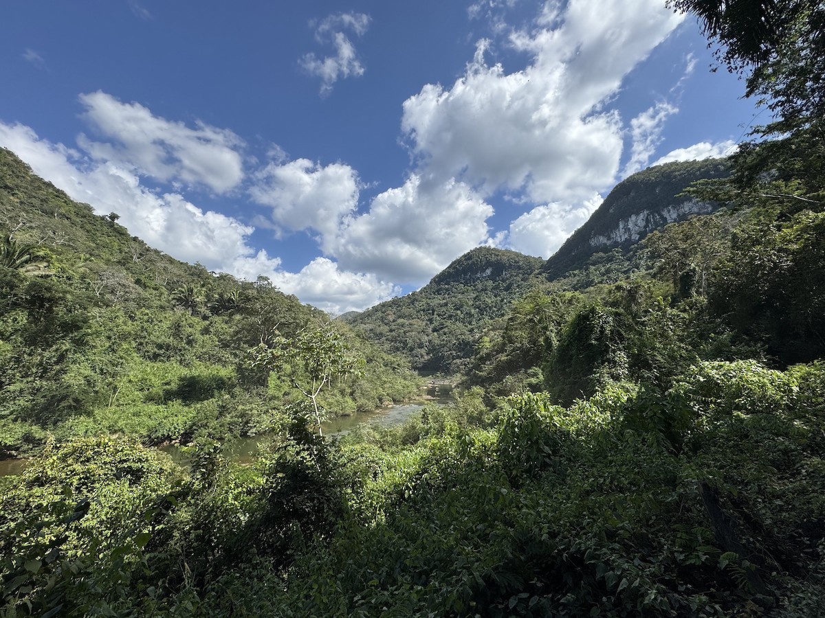 null - ML634908161