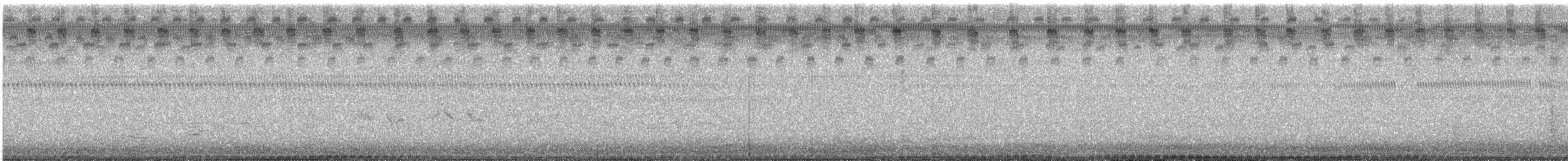 papežík modrý - ML634910567