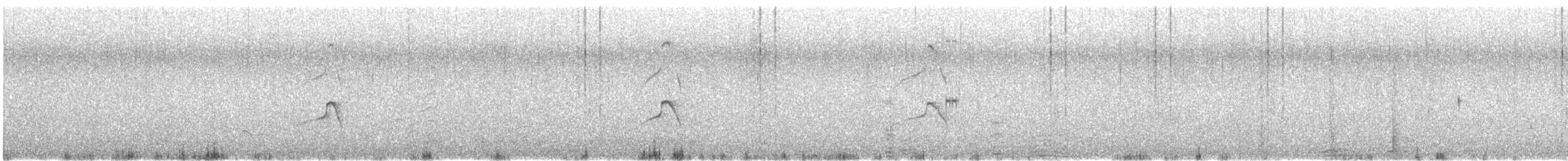 Sterne caspienne - ML634912988