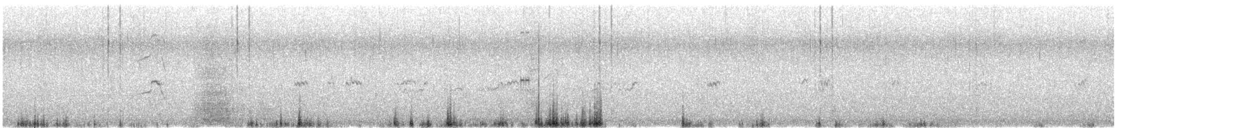 Bécasseau minuscule - ML634912991