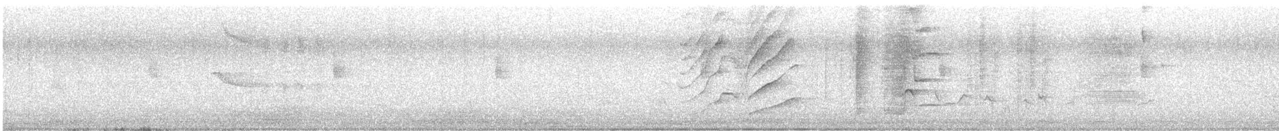 Great-tailed Grackle - ML634913345