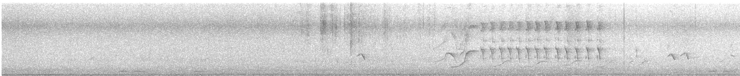 Great-tailed Grackle - ML634913471