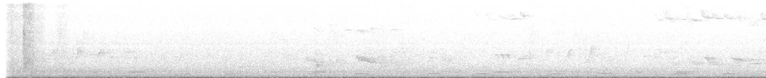 Oriental Scops-Owl - ML634918421