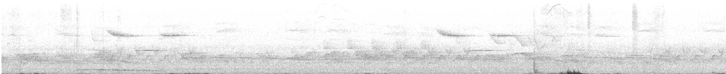 Barred Owl - ML634921410