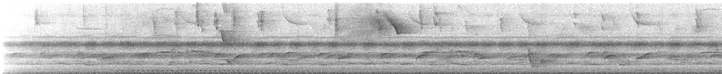 Puerto Rican Owl - ML634925440