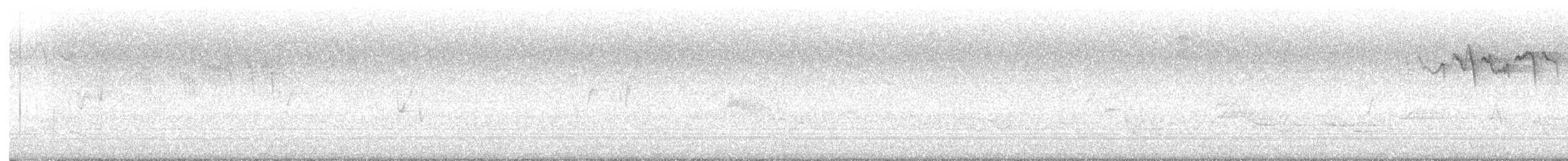 Bay-breasted Warbler - ML634926457